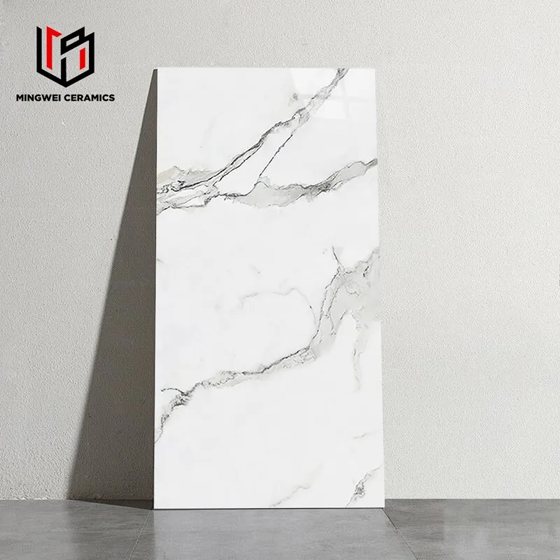 T77079-8---60X120- T77079-8---60X120-